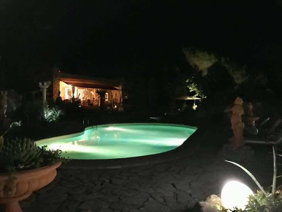 La Cactee Singuliere Bed & Breakfast Béziers Dış mekan fotoğraf
