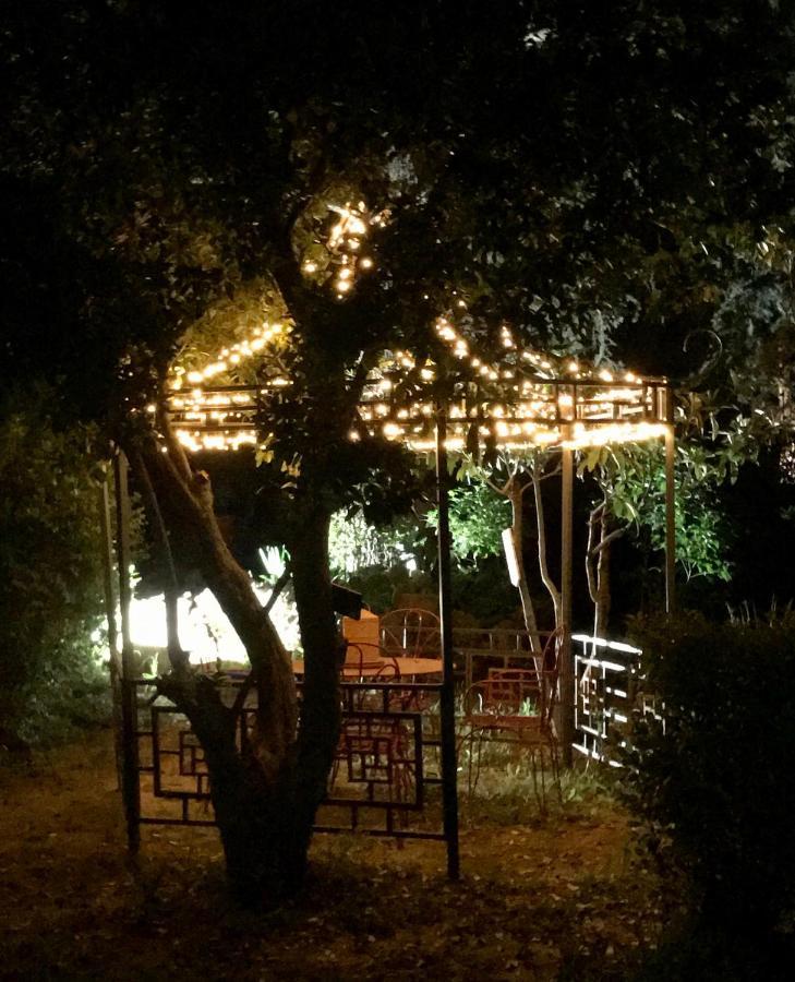La Cactee Singuliere Bed & Breakfast Béziers Dış mekan fotoğraf