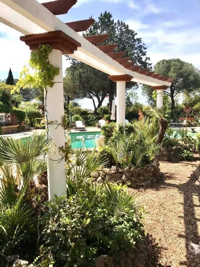 La Cactee Singuliere Bed & Breakfast Béziers Dış mekan fotoğraf