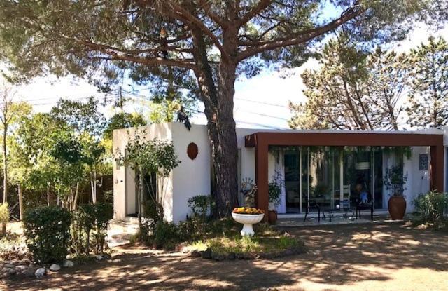La Cactee Singuliere Bed & Breakfast Béziers Dış mekan fotoğraf