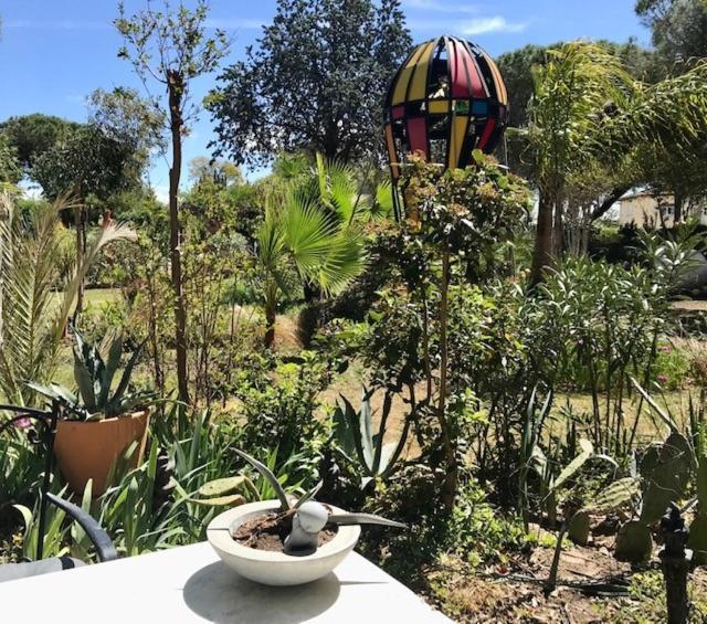 La Cactee Singuliere Bed & Breakfast Béziers Dış mekan fotoğraf